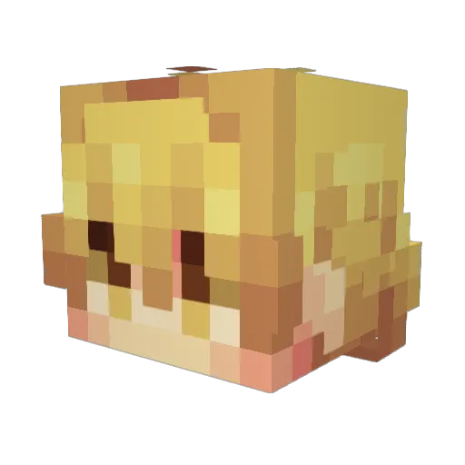 Pardoluki Minecraft avatar head, 3D render