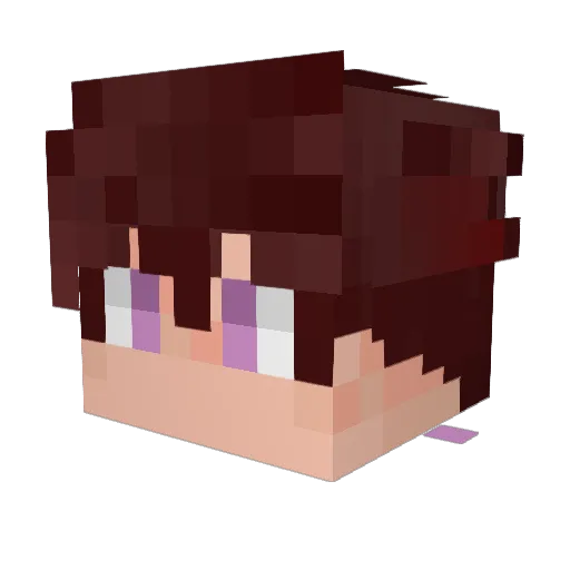 Parent1no Minecraft avatar head, 3D render