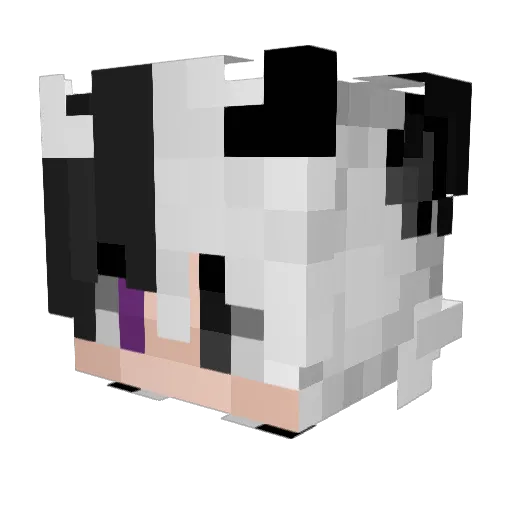 ParhelionTT Minecraft avatar head, 3D render