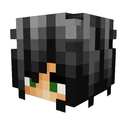 Pariera Minecraft avatar head, 3D render