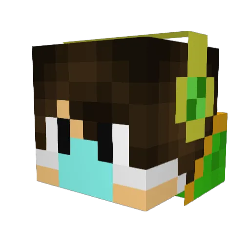 Pariotawsome12 Minecraft avatar head, 3D render