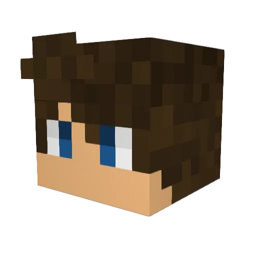 ParisD24 Minecraft avatar head, 3D render