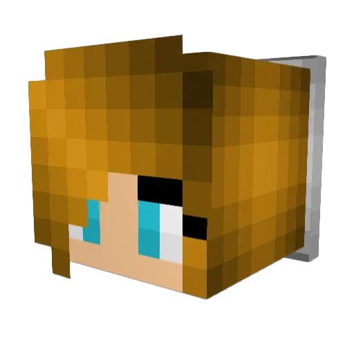 Paris_Girl_123 Minecraft avatar head, 3D render