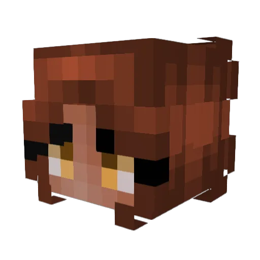 Parisat Minecraft avatar head, 3D render