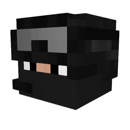 Park3r7 Minecraft avatar head, 3D render
