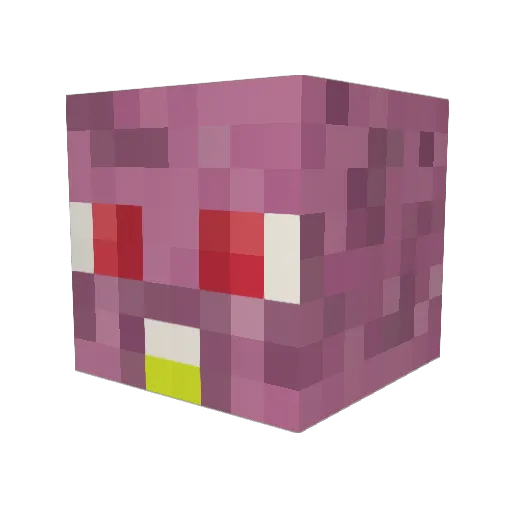ParkBoi Minecraft avatar head, 3D render
