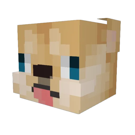 ParkBomb Minecraft avatar head, 3D render