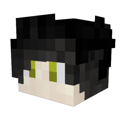 ParkControl2 Minecraft avatar head, 3D render