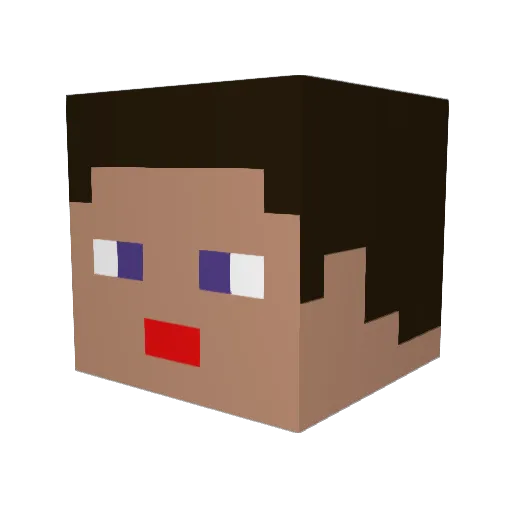 ParkInset Minecraft avatar head, 3D render