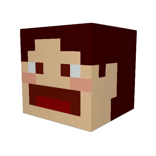 ParkOOOng Minecraft avatar head, 3D render