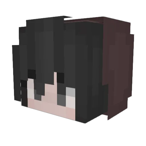 ParkRangerMC Minecraft avatar head, 3D render