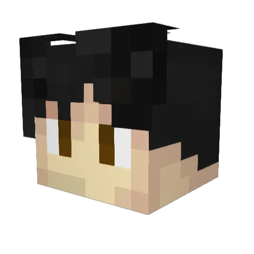 ParkSeoJae Minecraft avatar head, 3D render