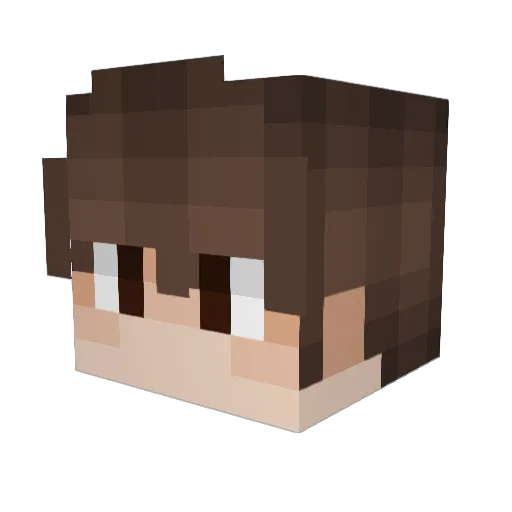 ParkTaeMinn Minecraft avatar head, 3D render