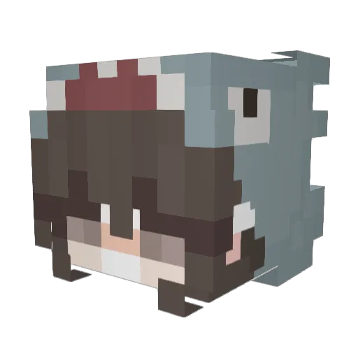 Park__HA Minecraft avatar head, 3D render