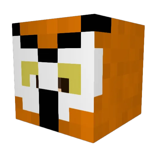 Parkchap10 Minecraft avatar head, 3D render