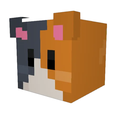 ParkerMans Minecraft avatar head, 3D render