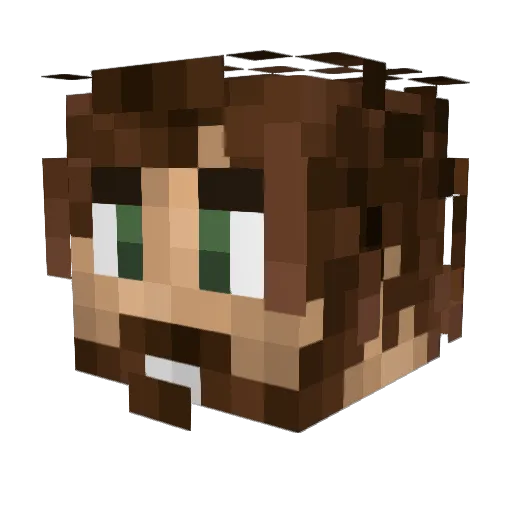 Parker_Stilley Minecraft avatar head, 3D render