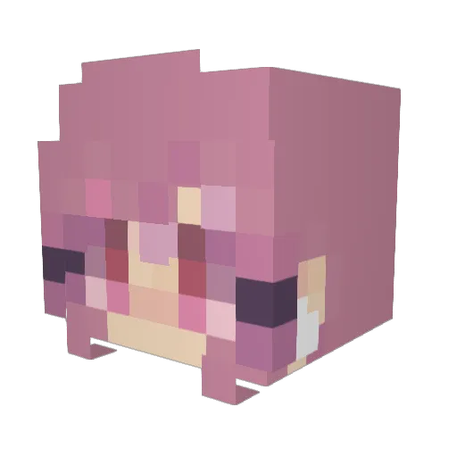 Parkerbean1 Minecraft avatar head, 3D render
