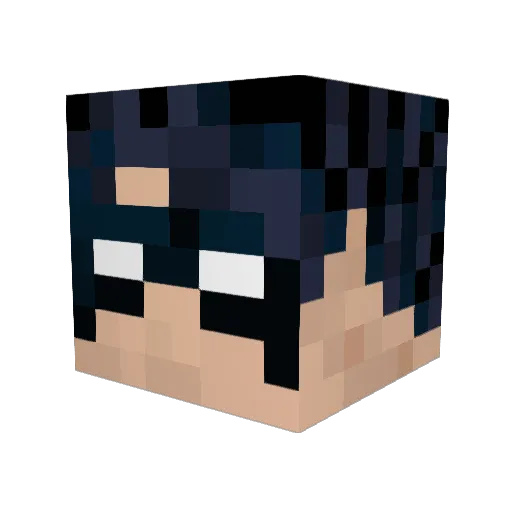 Parkerpj Minecraft avatar head, 3D render