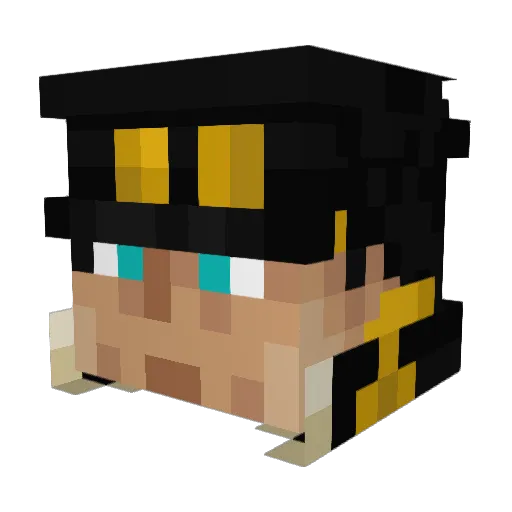 ParkinsonWalrus Minecraft avatar head, 3D render