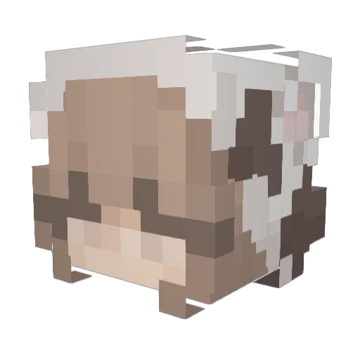 Parkitupjr_ Minecraft avatar head, 3D render