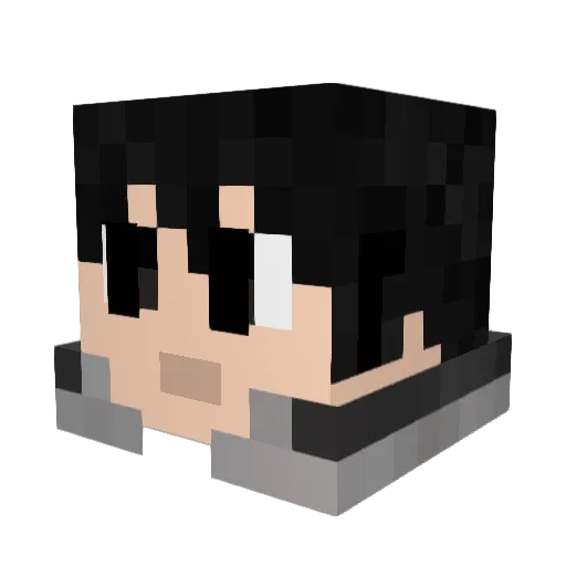 ParkourMasterDS Minecraft avatar head, 3D render