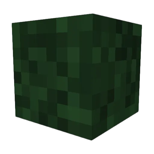 ParkourNinja2 Minecraft avatar head, 3D render