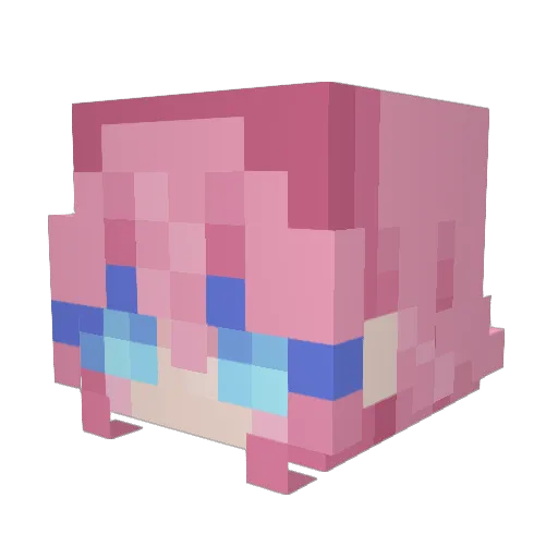 Parkster00 Minecraft avatar head, 3D render