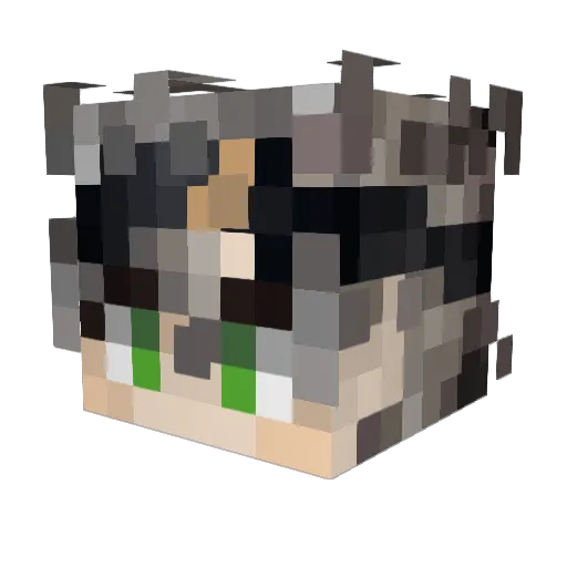 Parkyspike Minecraft avatar head, 3D render