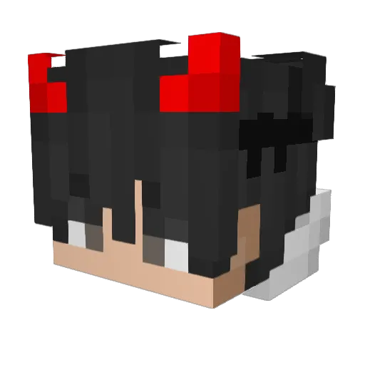 Parlysan Minecraft avatar head, 3D render