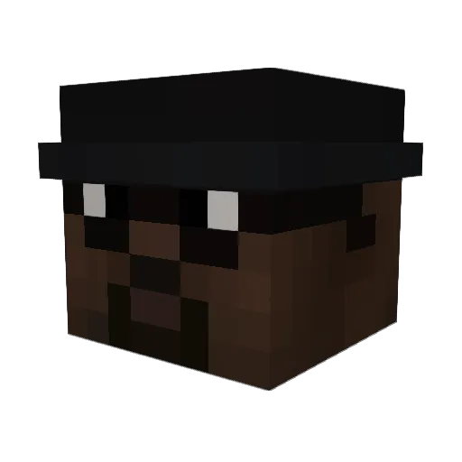 Parmacel Minecraft avatar head, 3D render