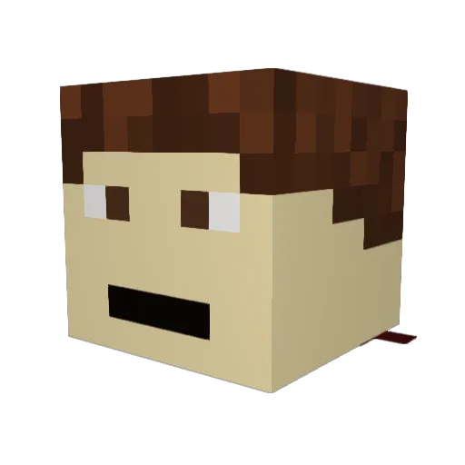 Parmajohn1049 Minecraft avatar head, 3D render