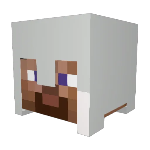 Parmdar Minecraft avatar head, 3D render