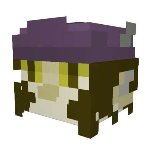 Parmesan2438 Minecraft avatar head, 3D render