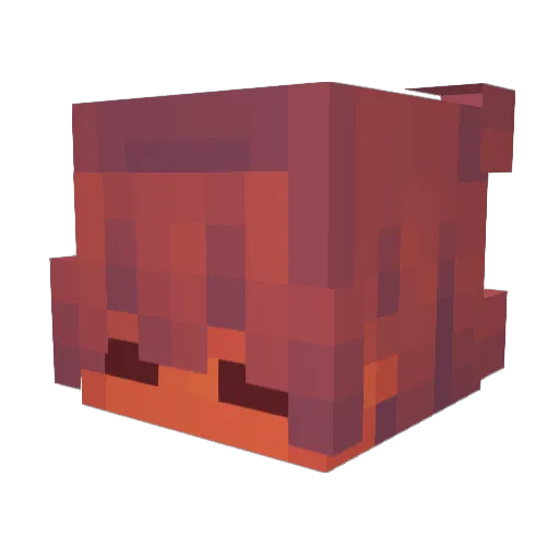 Parminister Minecraft avatar head, 3D render