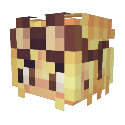 Parminx_ Minecraft avatar head, 3D render