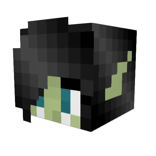 Parn8637 Minecraft avatar head, 3D render
