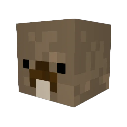Parnellios Minecraft avatar head, 3D render