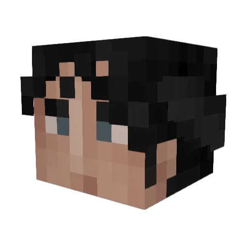 Parodies_ Minecraft avatar head, 3D render