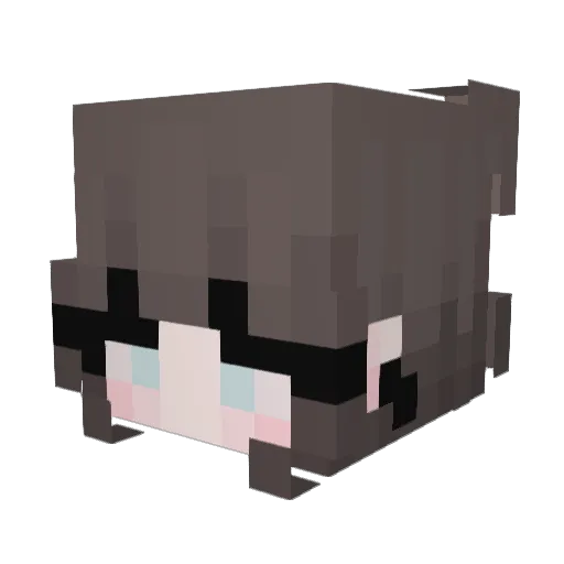ParotX2 Minecraft avatar head, 3D render