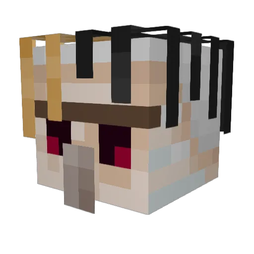 ParowPalestyna Minecraft avatar head, 3D render
