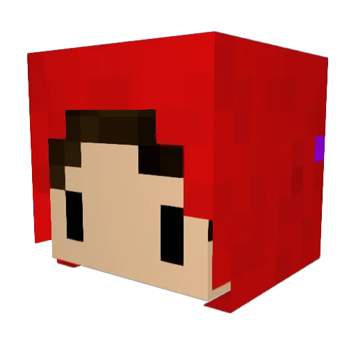 Parpot Minecraft avatar head, 3D render