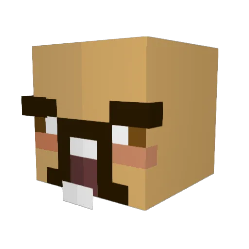 Parralaxis Minecraft avatar head, 3D render