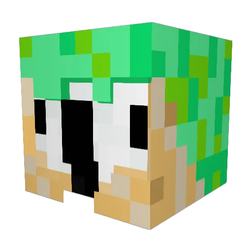 Parroli Minecraft avatar head, 3D render