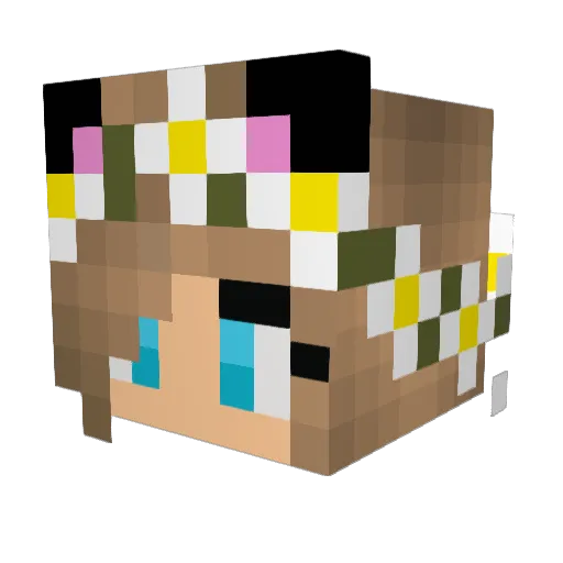 ParrotPanda224 Minecraft avatar head, 3D render