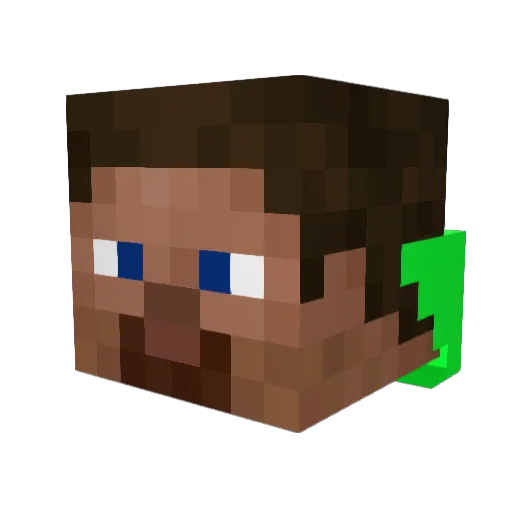 ParrotPenguin39 Minecraft avatar head, 3D render