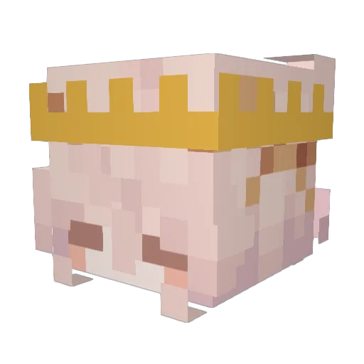 Parrotinnia Minecraft avatar head, 3D render