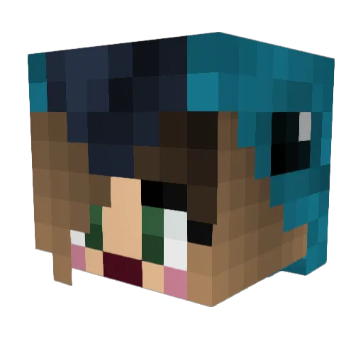 Parrotlette Minecraft avatar head, 3D render