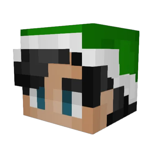 Parrotti Minecraft avatar head, 3D render