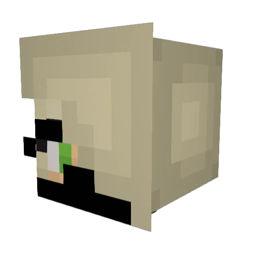 Parry345 Minecraft avatar head, 3D render